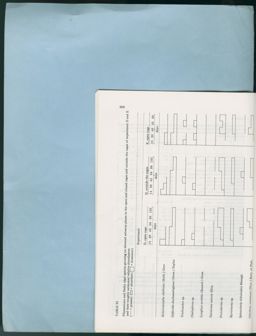 Carmabi Collected Papers Volume 12- Nos. 194-224, 1976-1977 - Page 318