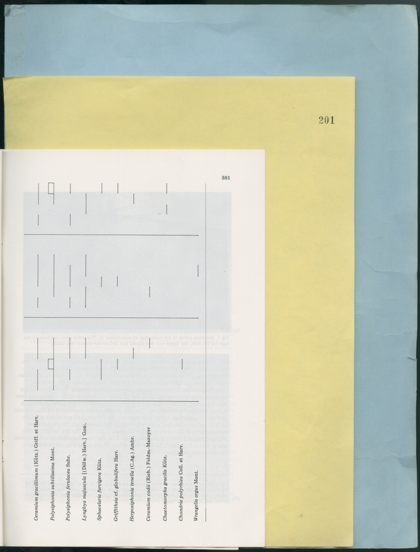 Carmabi Collected Papers Volume 12- Nos. 194-224, 1976-1977 - Page 319