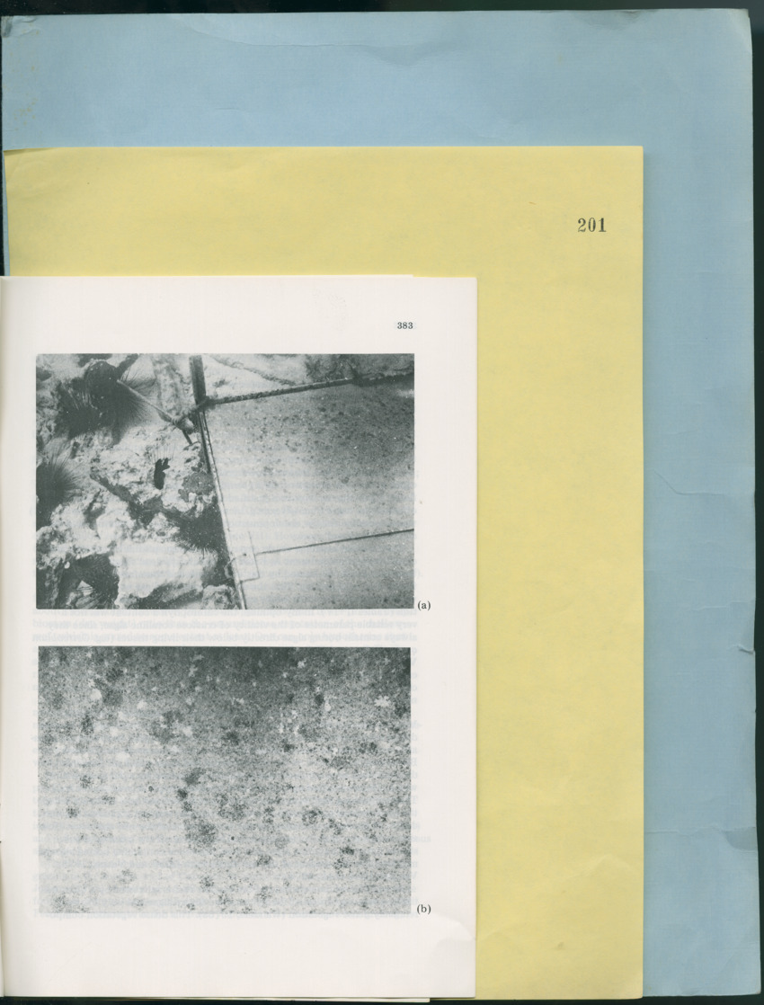 Carmabi Collected Papers Volume 12- Nos. 194-224, 1976-1977 - Page 321