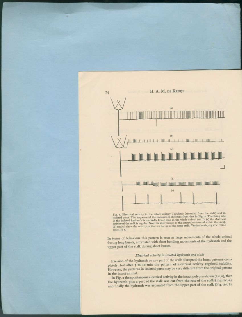Carmabi Collected Papers Volume 12- Nos. 194-224, 1976-1977 - Page 382