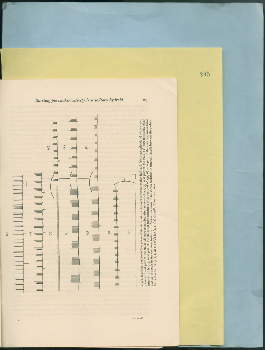 Carmabi Collected Papers Volume 12- Nos. 194-224, 1976-1977 - Page 387