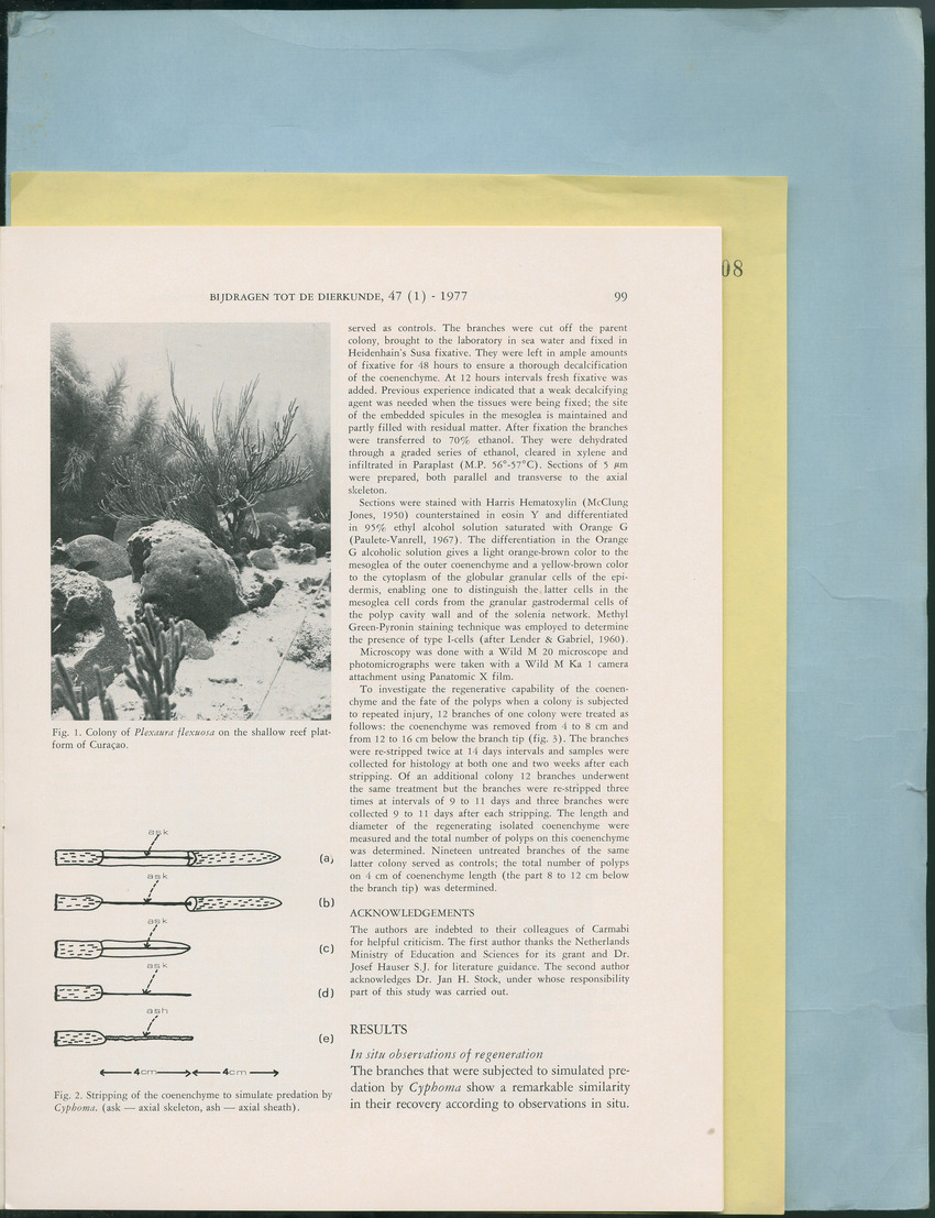 Carmabi Collected Papers Volume 12- Nos. 194-224, 1976-1977 - Page 409