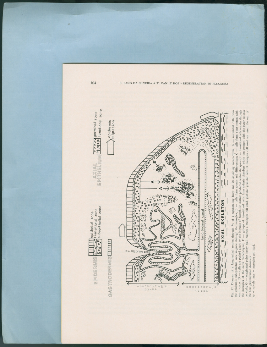 Carmabi Collected Papers Volume 12- Nos. 194-224, 1976-1977 - Page 414