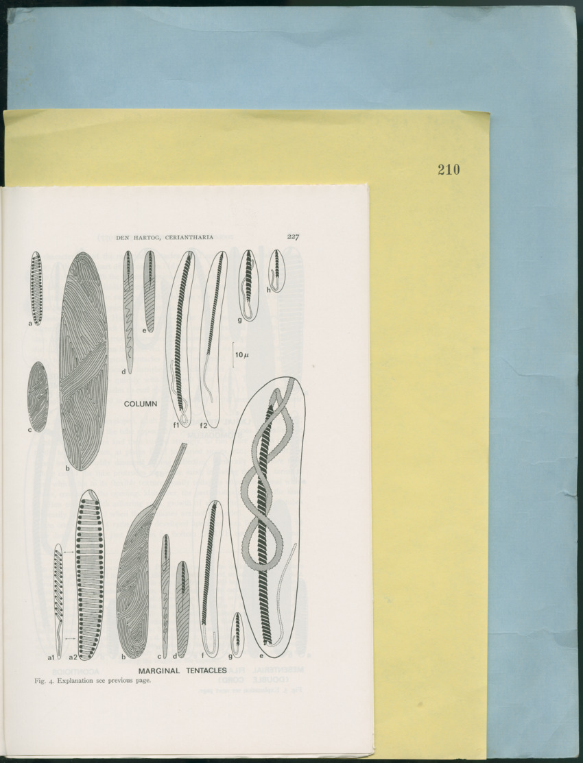 Carmabi Collected Papers Volume 12- Nos. 194-224, 1976-1977 - Page 453