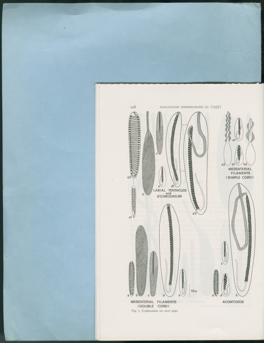 Carmabi Collected Papers Volume 12- Nos. 194-224, 1976-1977 - Page 454