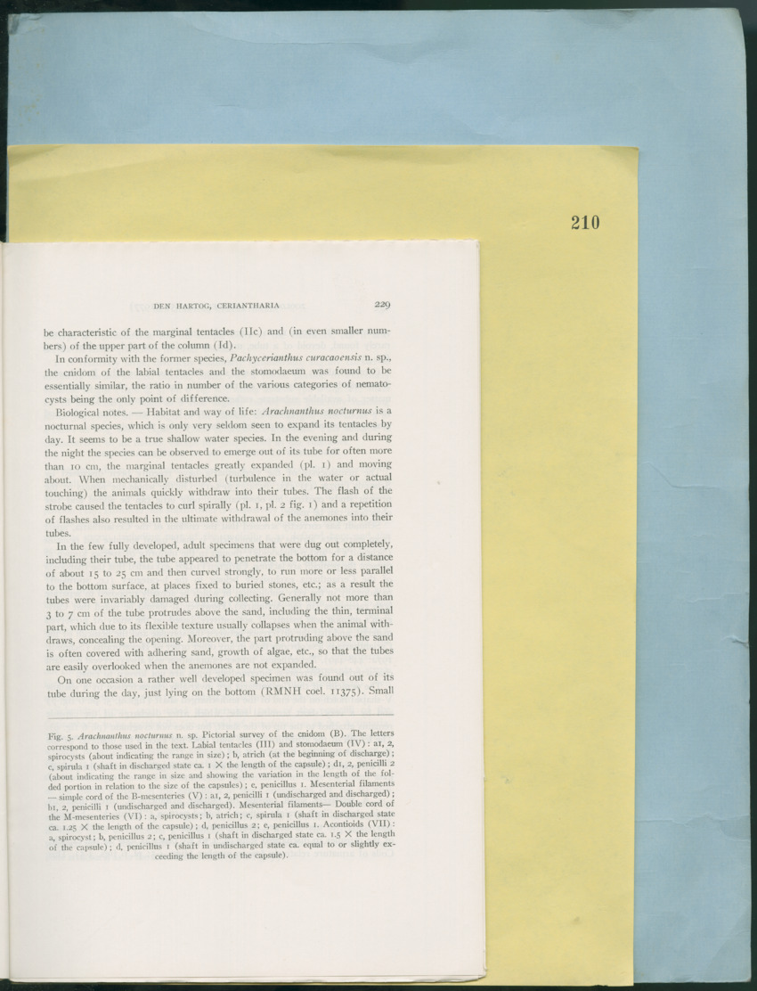 Carmabi Collected Papers Volume 12- Nos. 194-224, 1976-1977 - Page 455