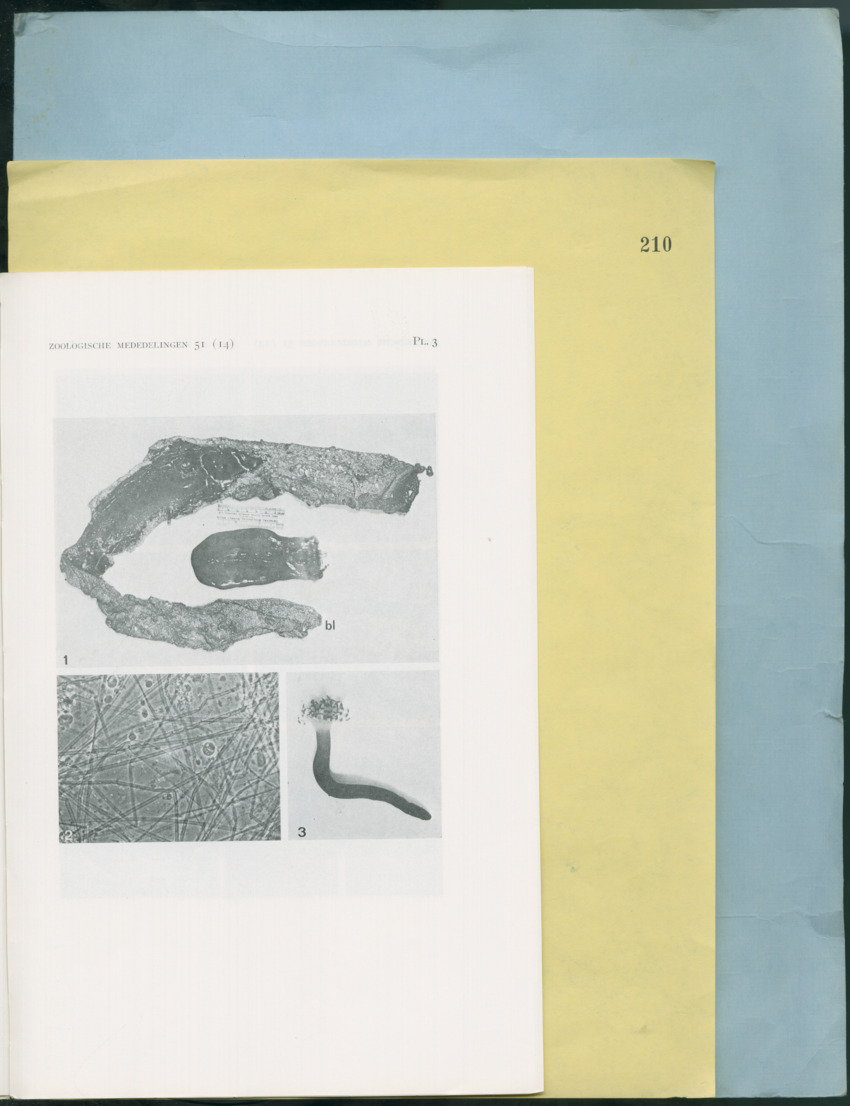 Carmabi Collected Papers Volume 12- Nos. 194-224, 1976-1977 - Page 471