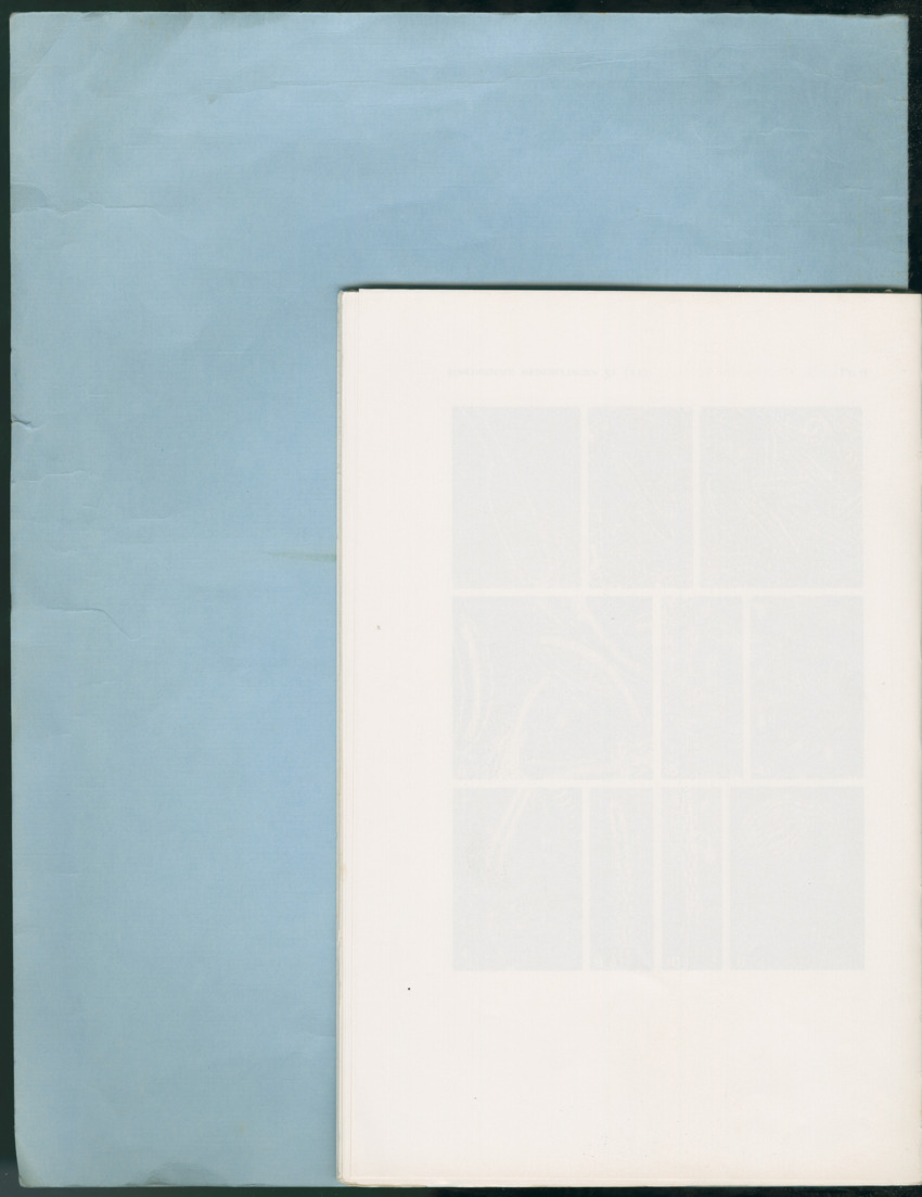 Carmabi Collected Papers Volume 12- Nos. 194-224, 1976-1977 - Page 476