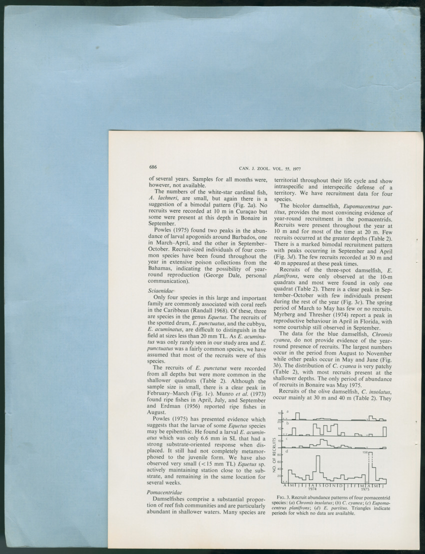 Carmabi Collected Papers Volume 12- Nos. 194-224, 1976-1977 - Page 486