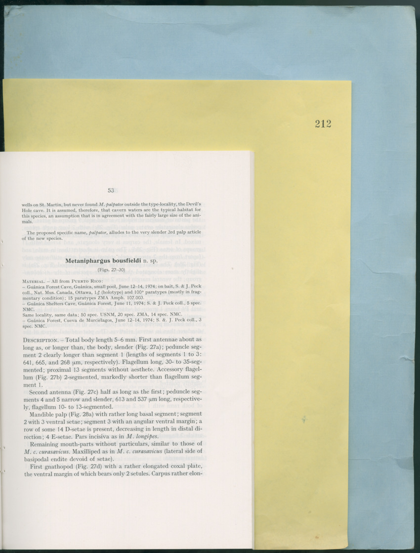 Carmabi Collected Papers Volume 12- Nos. 194-224, 1976-1977 - Page 547