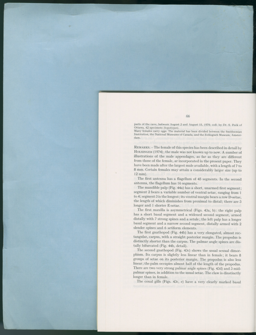 Carmabi Collected Papers Volume 12- Nos. 194-224, 1976-1977 - Page 558