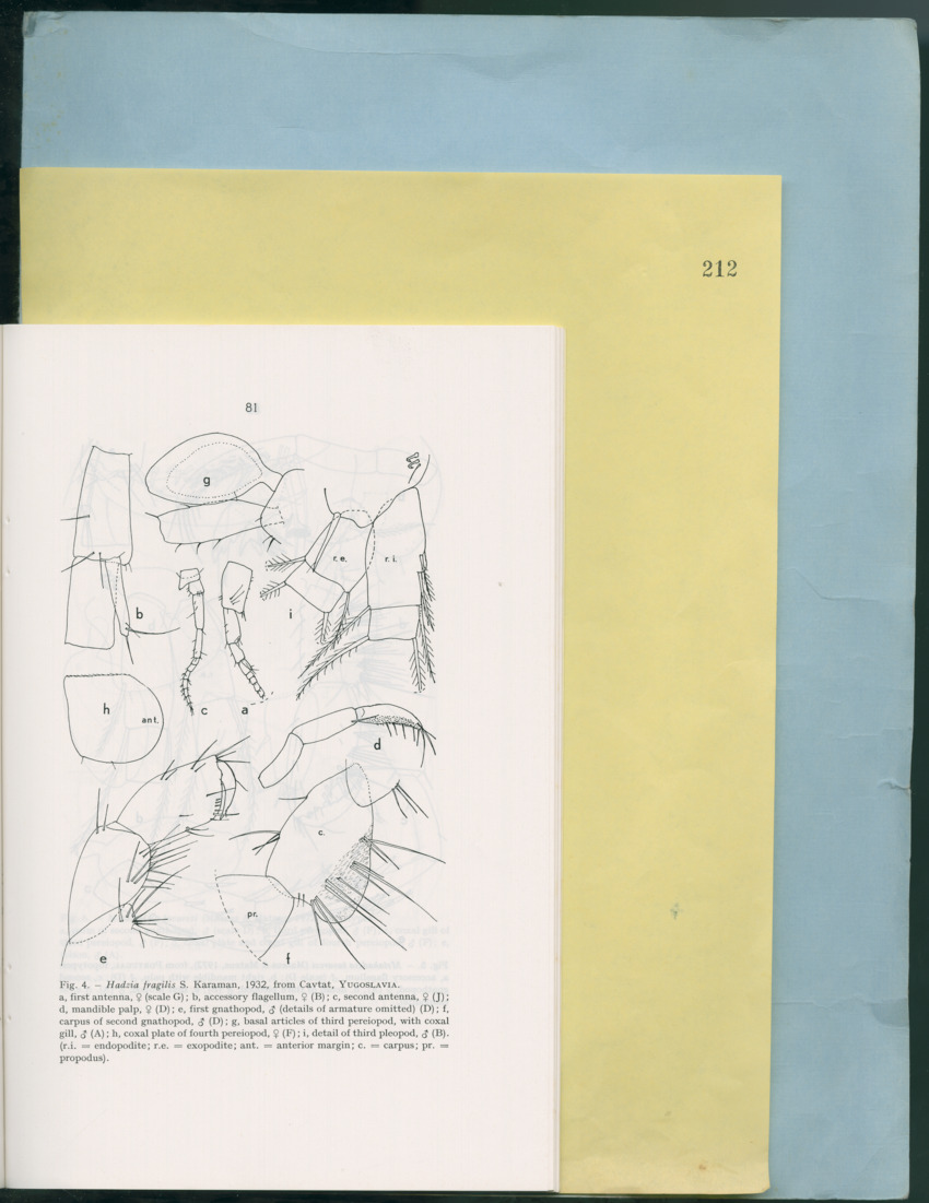 Carmabi Collected Papers Volume 12- Nos. 194-224, 1976-1977 - Page 573