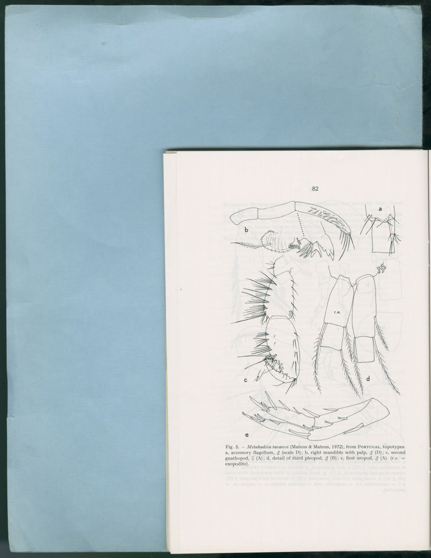 Carmabi Collected Papers Volume 12- Nos. 194-224, 1976-1977 - Page 574