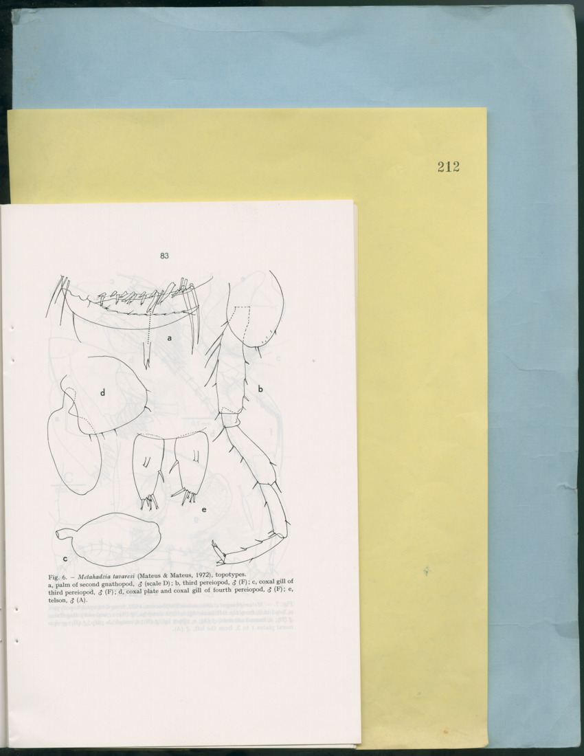 Carmabi Collected Papers Volume 12- Nos. 194-224, 1976-1977 - Page 575