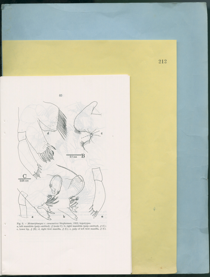Carmabi Collected Papers Volume 12- Nos. 194-224, 1976-1977 - Page 577