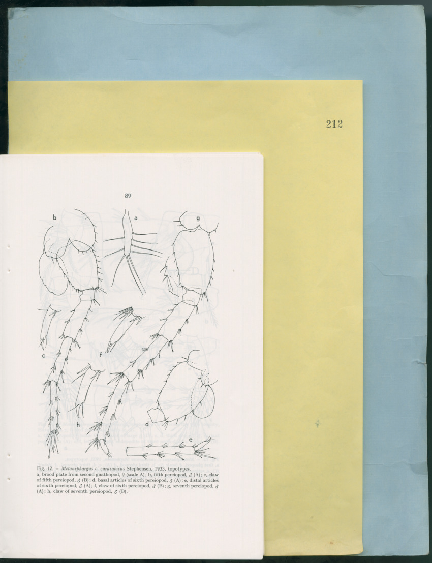 Carmabi Collected Papers Volume 12- Nos. 194-224, 1976-1977 - Page 581