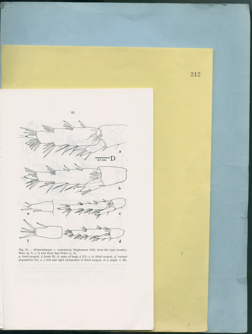 Carmabi Collected Papers Volume 12- Nos. 194-224, 1976-1977 - Page 583