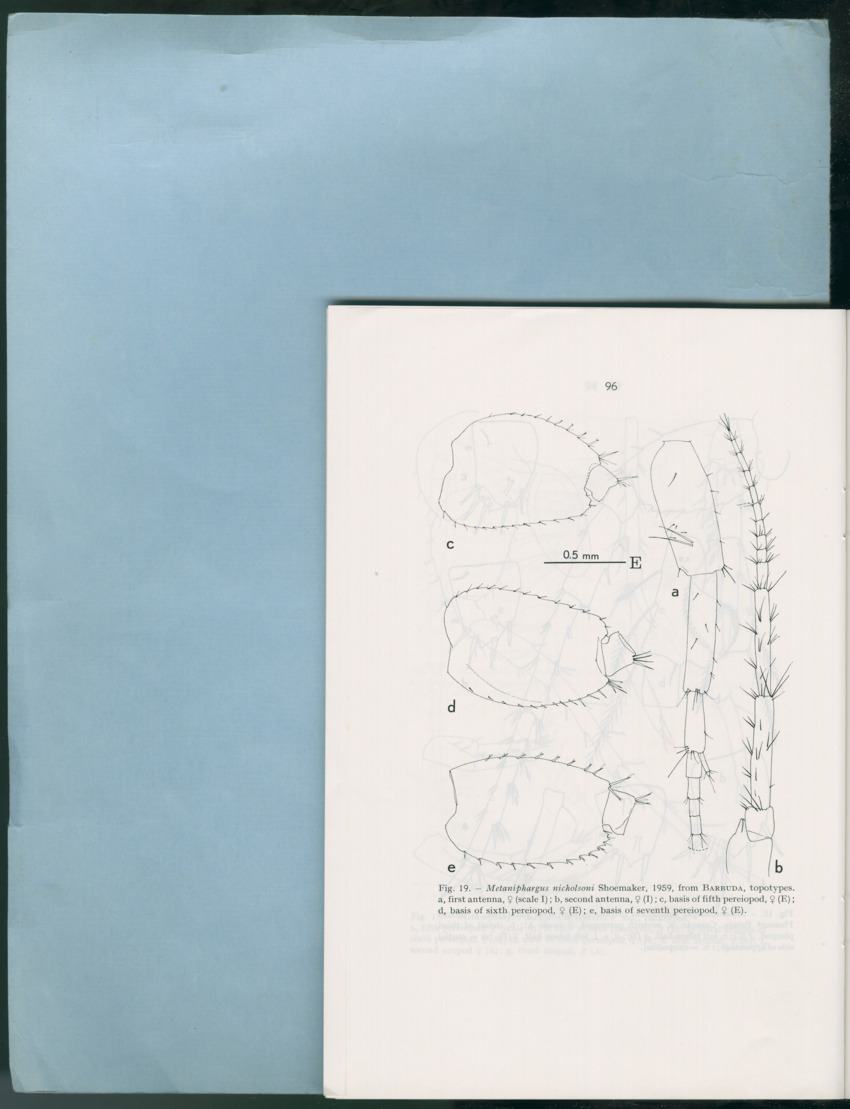 Carmabi Collected Papers Volume 12- Nos. 194-224, 1976-1977 - Page 588