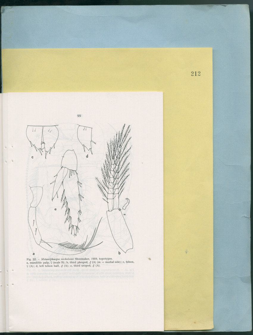 Carmabi Collected Papers Volume 12- Nos. 194-224, 1976-1977 - Page 591