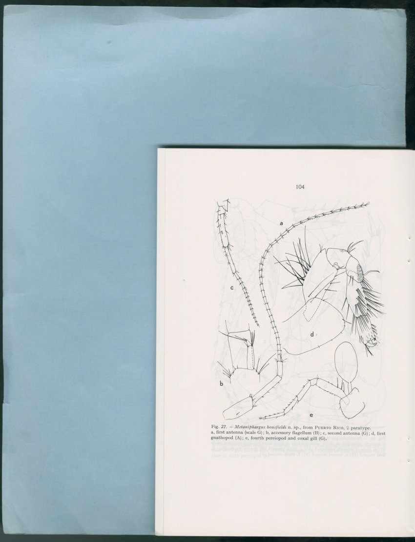 Carmabi Collected Papers Volume 12- Nos. 194-224, 1976-1977 - Page 596