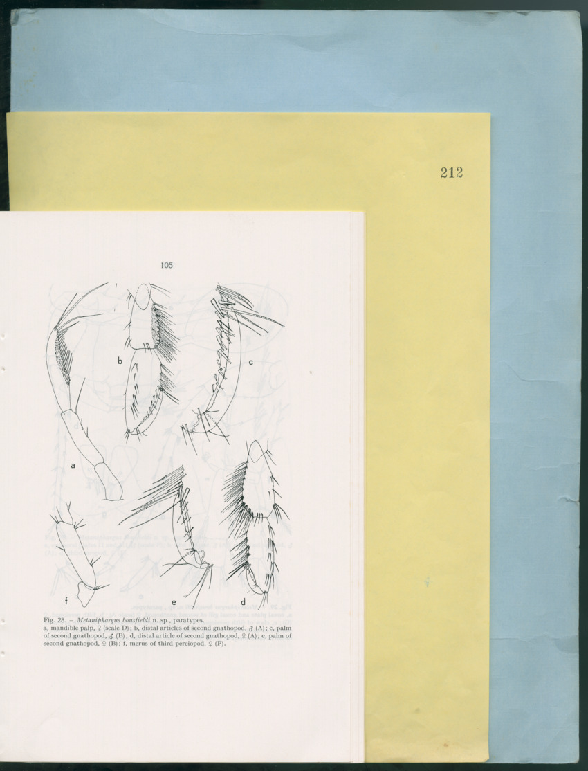 Carmabi Collected Papers Volume 12- Nos. 194-224, 1976-1977 - Page 597