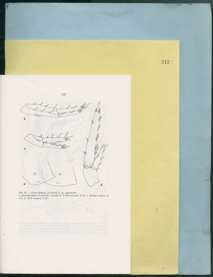 Carmabi Collected Papers Volume 12- Nos. 194-224, 1976-1977 - Page 599