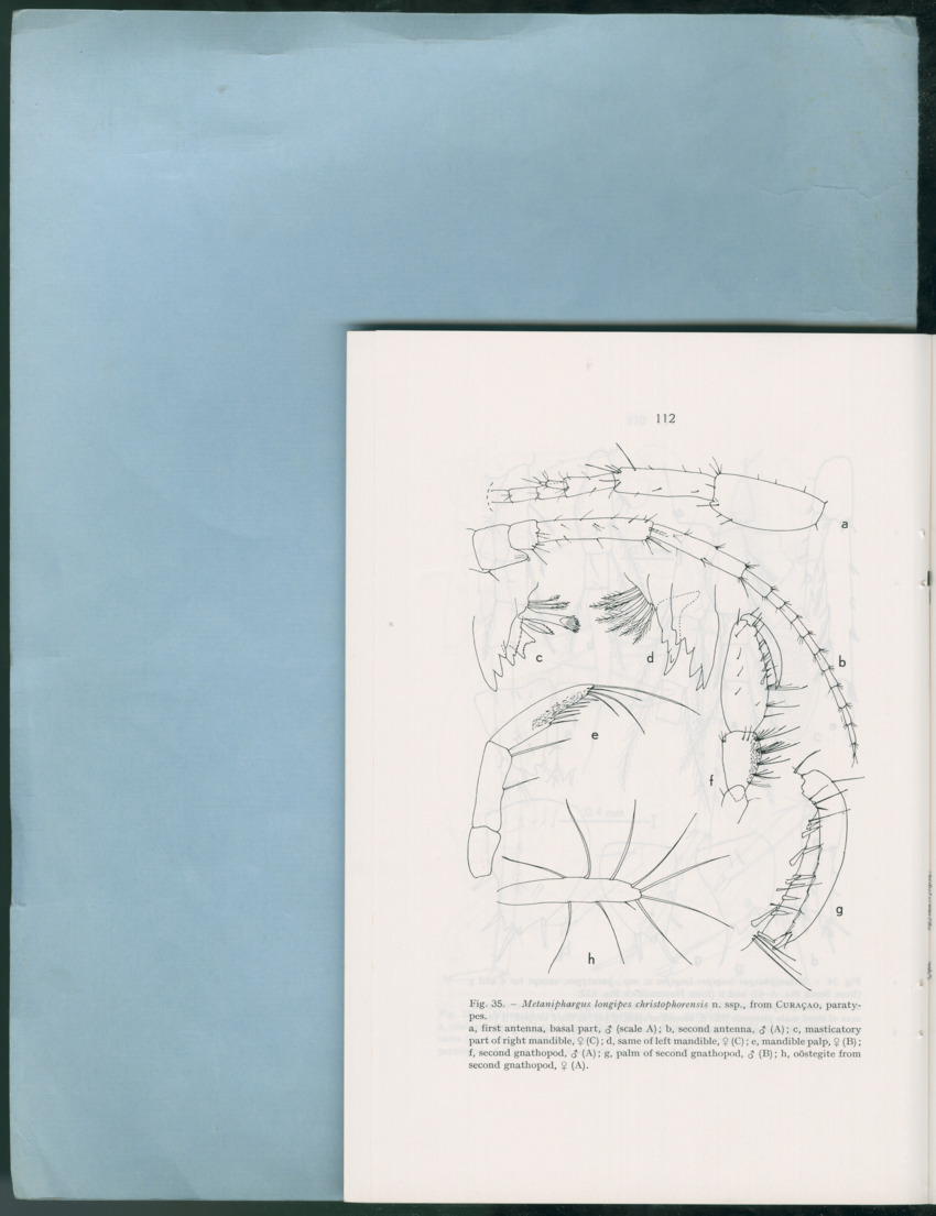 Carmabi Collected Papers Volume 12- Nos. 194-224, 1976-1977 - Page 604