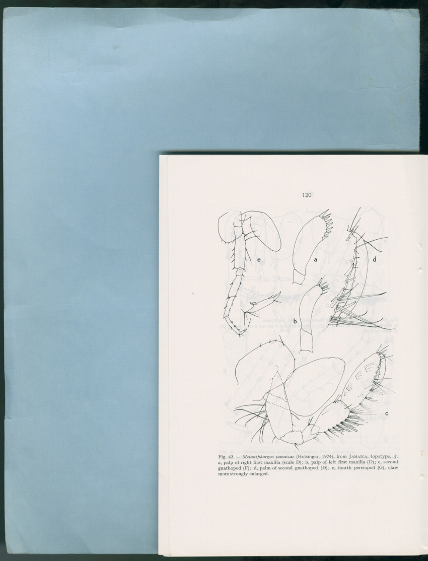 Carmabi Collected Papers Volume 12- Nos. 194-224, 1976-1977 - Page 612