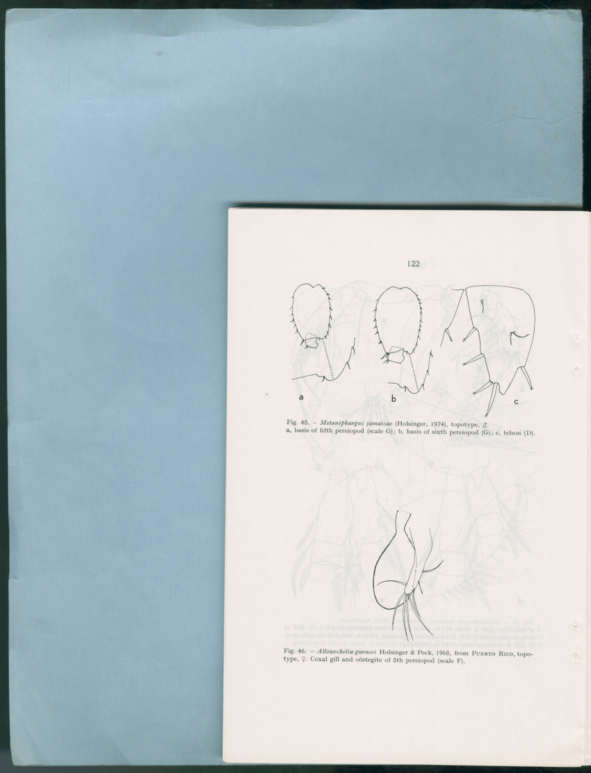 Carmabi Collected Papers Volume 12- Nos. 194-224, 1976-1977 - Page 614