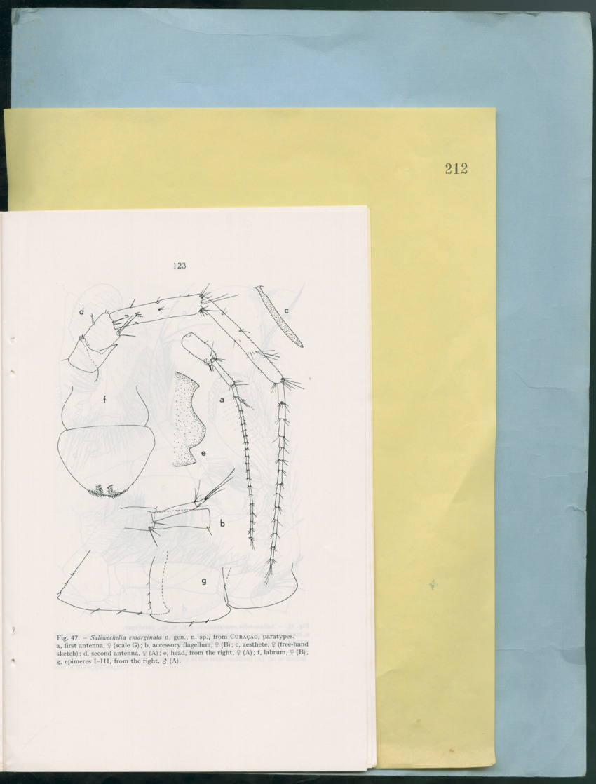 Carmabi Collected Papers Volume 12- Nos. 194-224, 1976-1977 - Page 615
