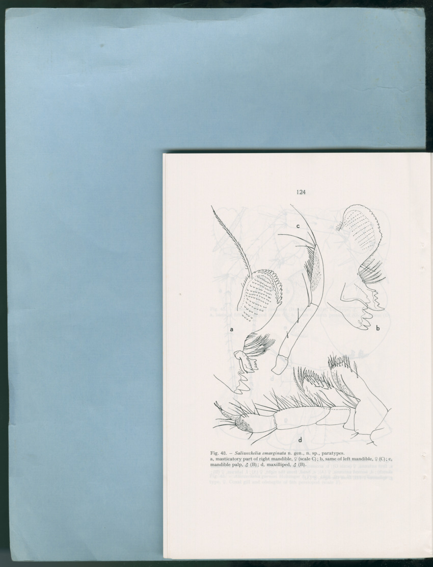 Carmabi Collected Papers Volume 12- Nos. 194-224, 1976-1977 - Page 616