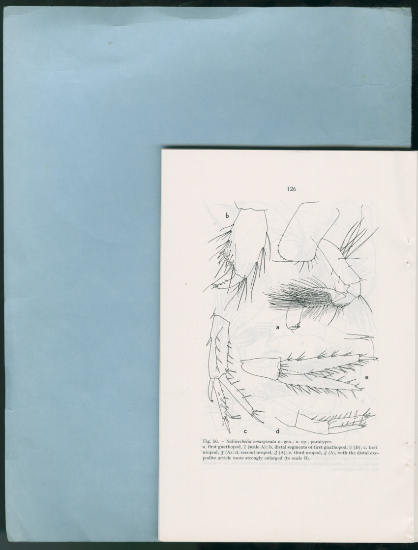 Carmabi Collected Papers Volume 12- Nos. 194-224, 1976-1977 - Page 618