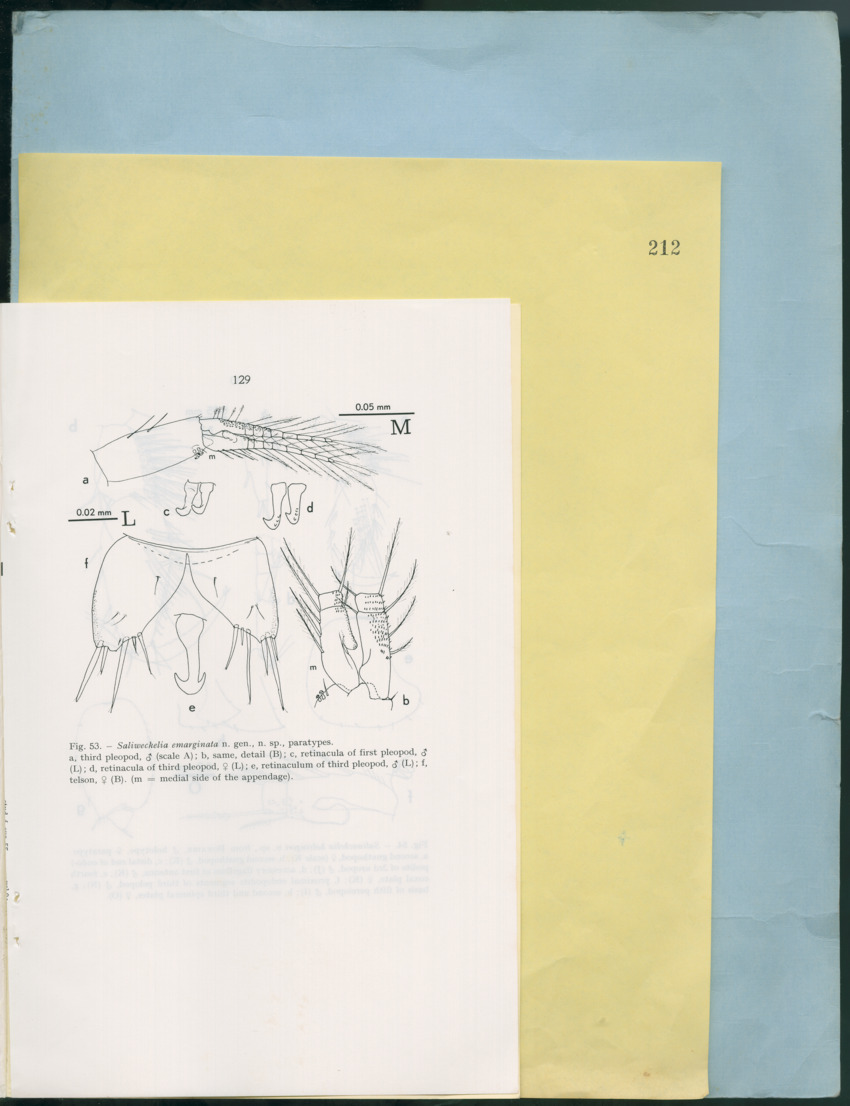 Carmabi Collected Papers Volume 12- Nos. 194-224, 1976-1977 - Page 621