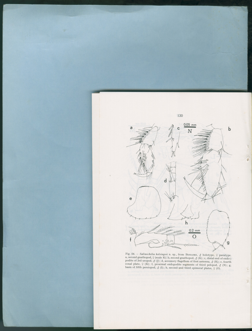 Carmabi Collected Papers Volume 12- Nos. 194-224, 1976-1977 - Page 622