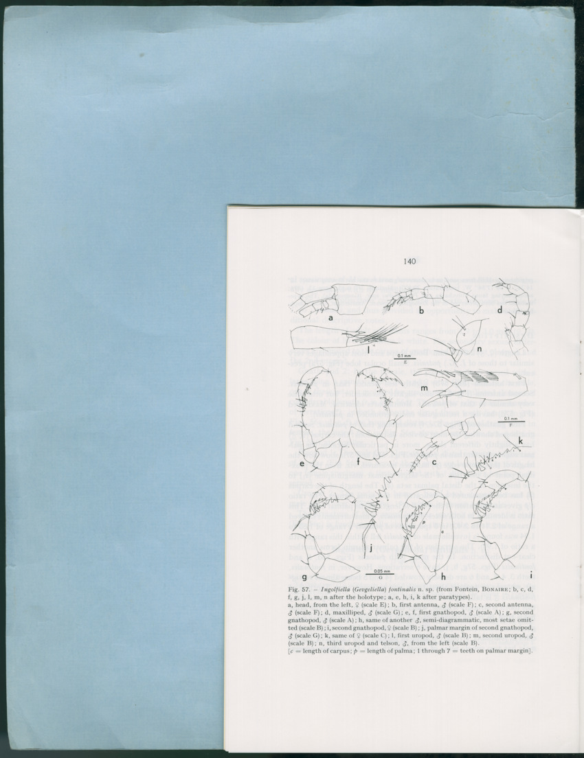 Carmabi Collected Papers Volume 12- Nos. 194-224, 1976-1977 - Page 638