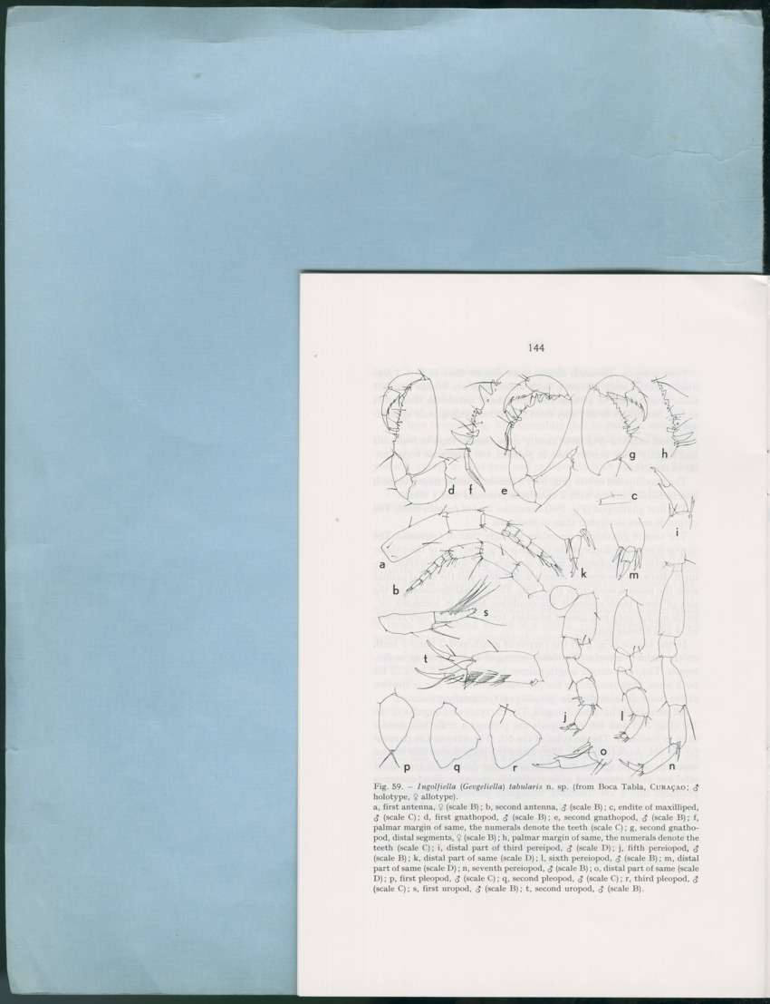 Carmabi Collected Papers Volume 12- Nos. 194-224, 1976-1977 - Page 642