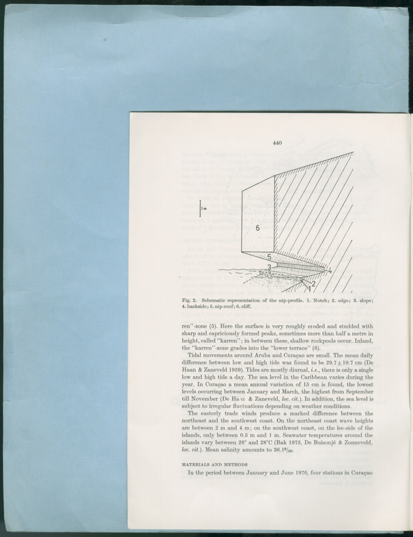 Carmabi Collected Papers Volume 12- Nos. 194-224, 1976-1977 - Page 652