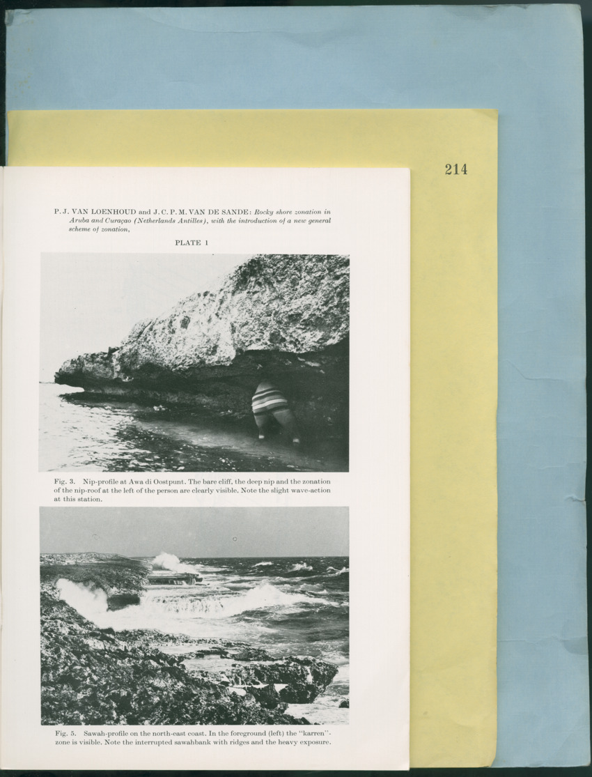 Carmabi Collected Papers Volume 12- Nos. 194-224, 1976-1977 - Page 653