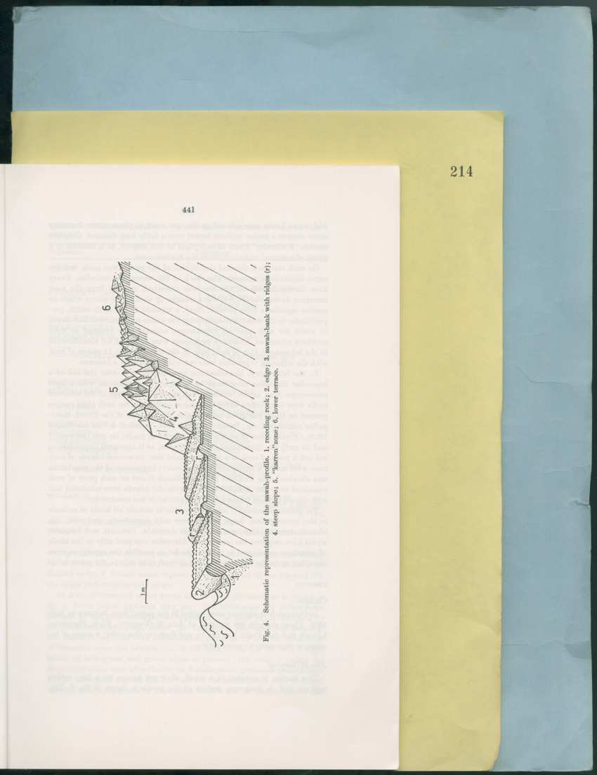 Carmabi Collected Papers Volume 12- Nos. 194-224, 1976-1977 - Page 655
