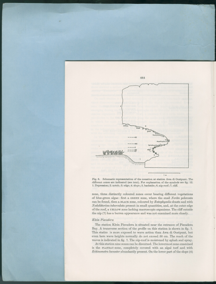 Carmabi Collected Papers Volume 12- Nos. 194-224, 1976-1977 - Page 658