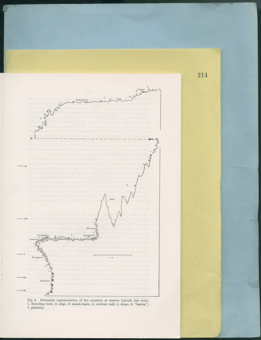 Carmabi Collected Papers Volume 12- Nos. 194-224, 1976-1977 - Page 661