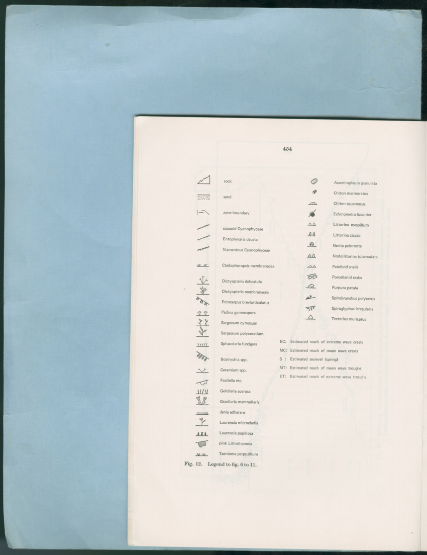 Carmabi Collected Papers Volume 12- Nos. 194-224, 1976-1977 - Page 668
