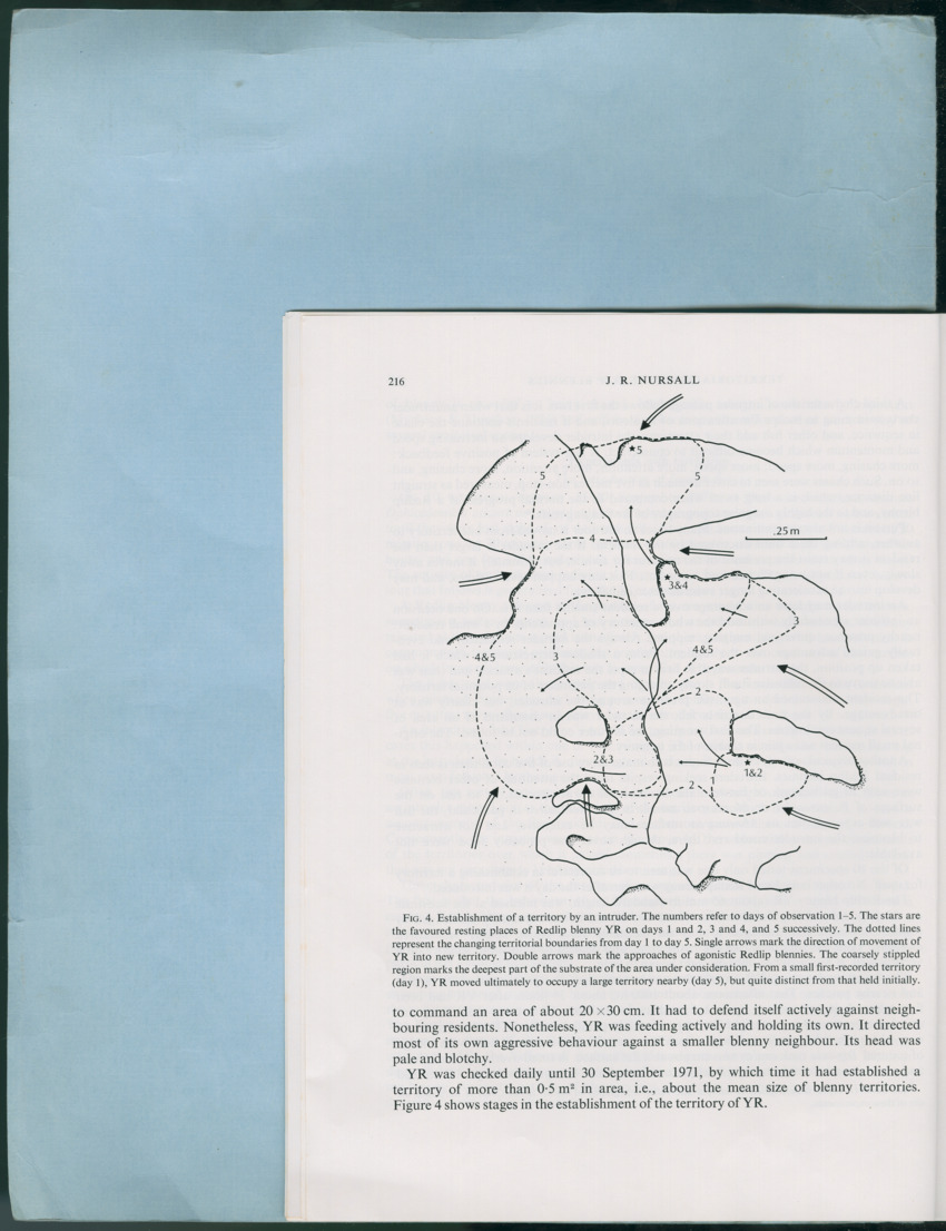 Carmabi Collected Papers Volume 12- Nos. 194-224, 1976-1977 - Page 706