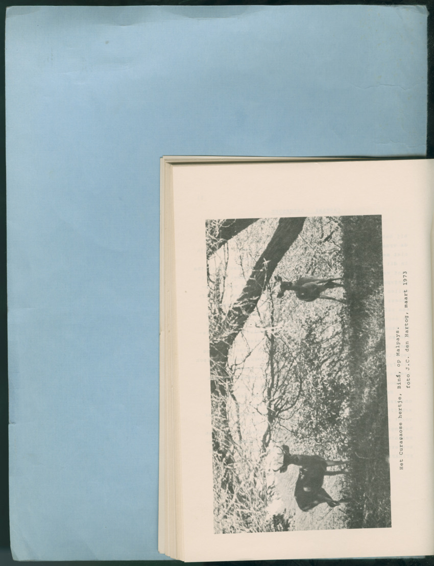 Carmabi Collected Papers Volume 12- Nos. 194-224, 1976-1977 - Page 868