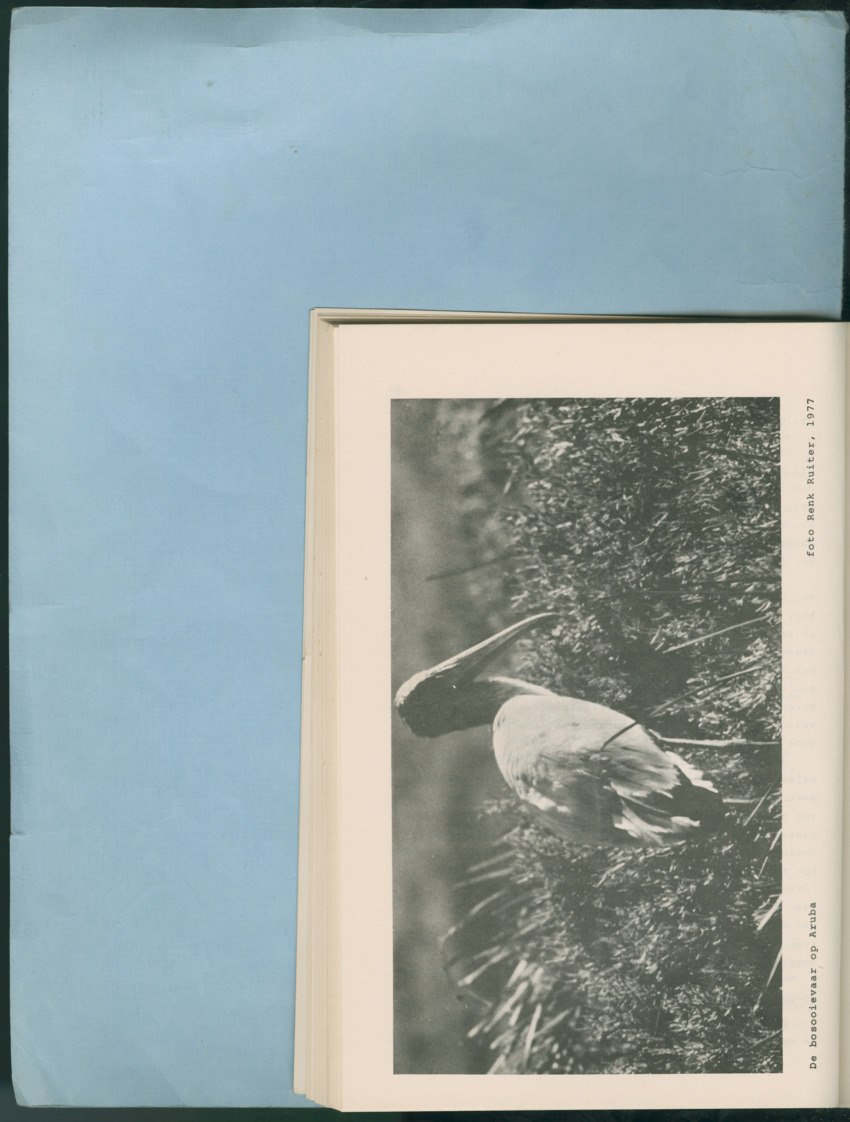 Carmabi Collected Papers Volume 12- Nos. 194-224, 1976-1977 - Page 872
