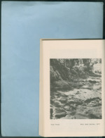 MISSING THUMBNAIL