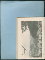 MISSING THUMBNAIL