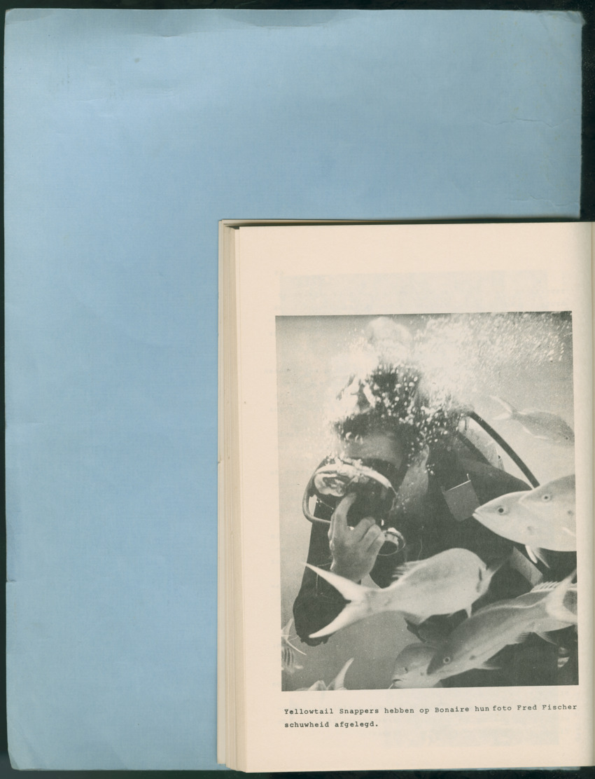 Carmabi Collected Papers Volume 12- Nos. 194-224, 1976-1977 - Page 880