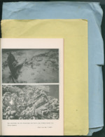 MISSING THUMBNAIL