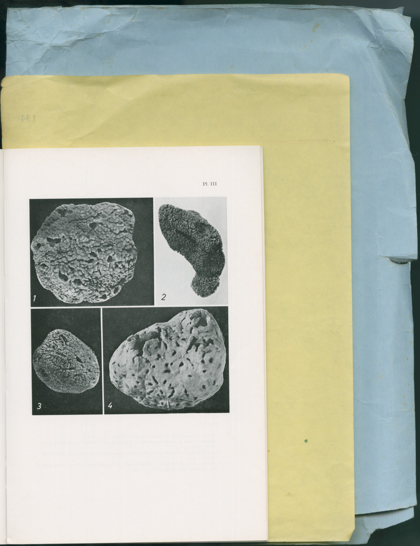 Carmabi Collected Papers Volume 13 - Nos. 225-258, 1978-1979 - New Page